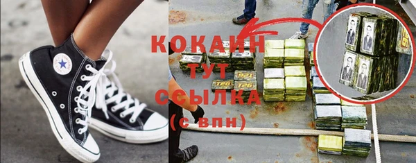 дживик Абаза