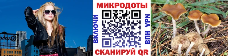 Псилоцибиновые грибы GOLDEN TEACHER  кракен онион  Котовск 