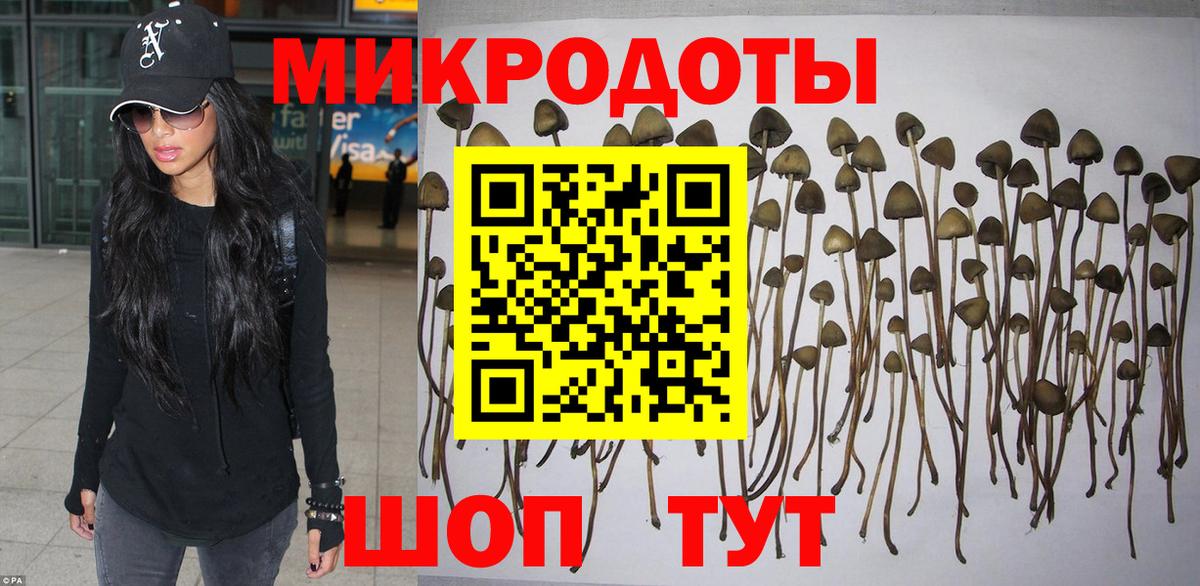 Псилоцибиновые грибы мухоморы  Вход с VPN  Псилоцибиновые грибы Psilocybe  Котовск 